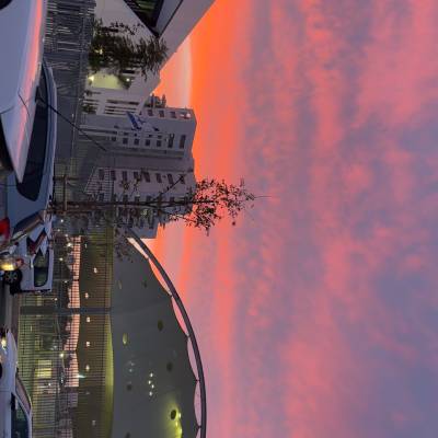 טומי הילפיגר